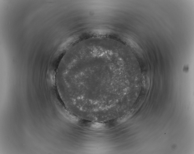 X0000091520718200709141415