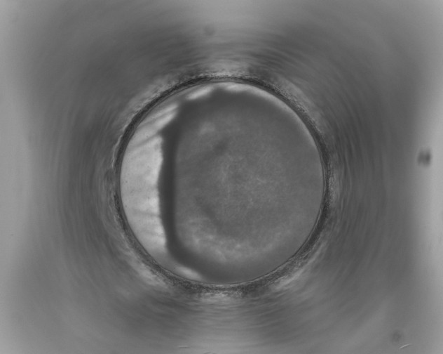 X0000091520721200709141414