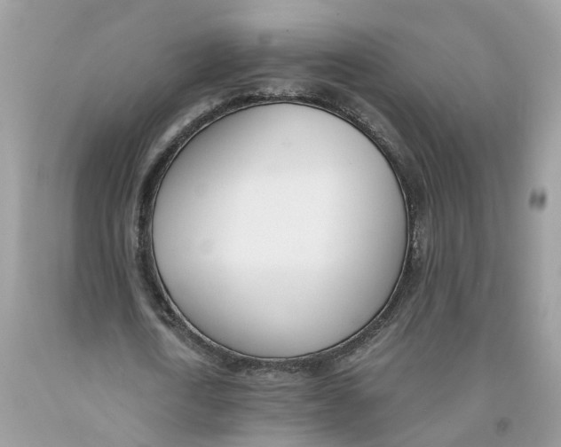 X0000091520722200709141414