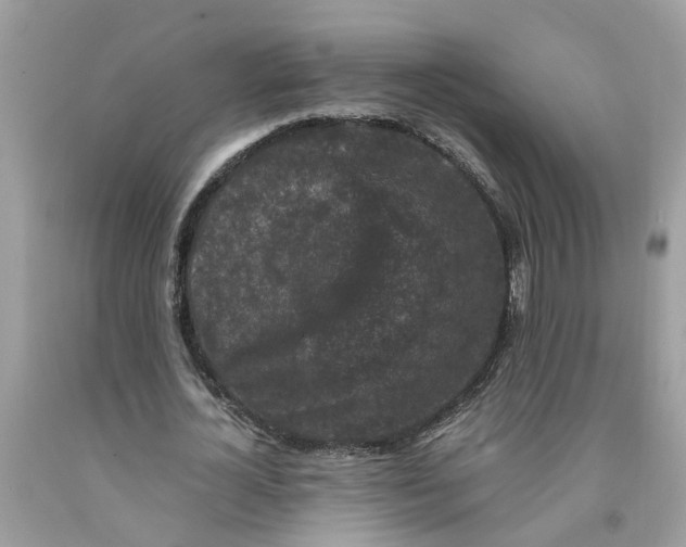 X0000091520724200709141414