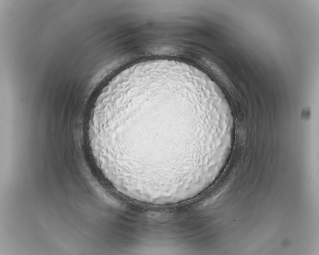 X0000091520725200709141414