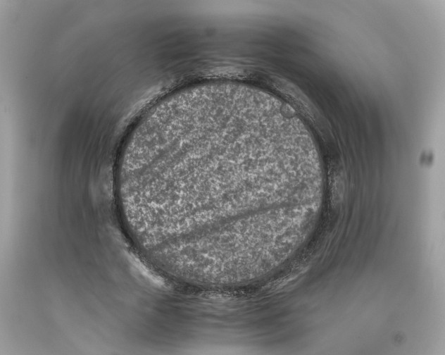 X0000091520729200709141414