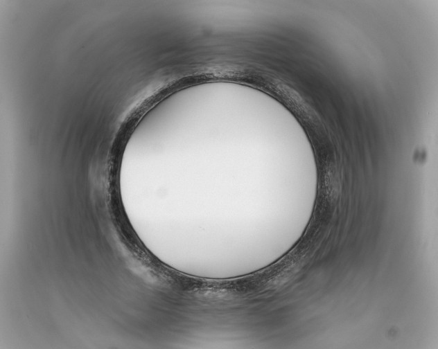 X0000091520730200709141414