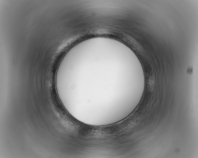 X0000091520732200709141414