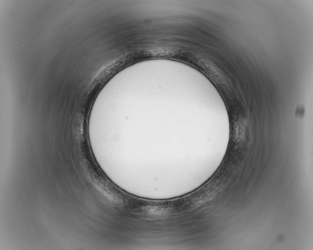 X0000091520733200709141414