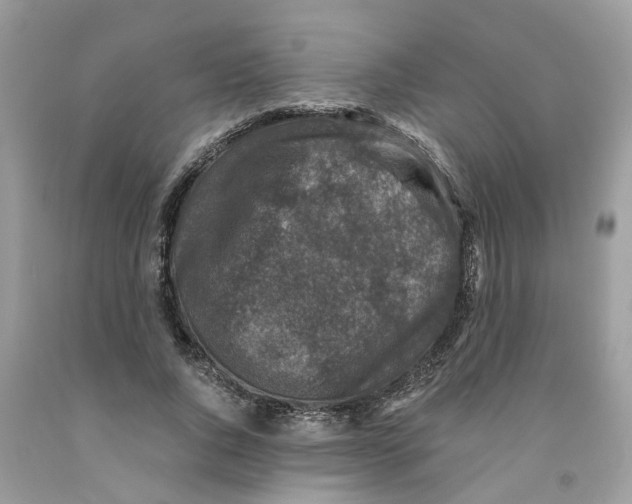 X0000091520736200709141414