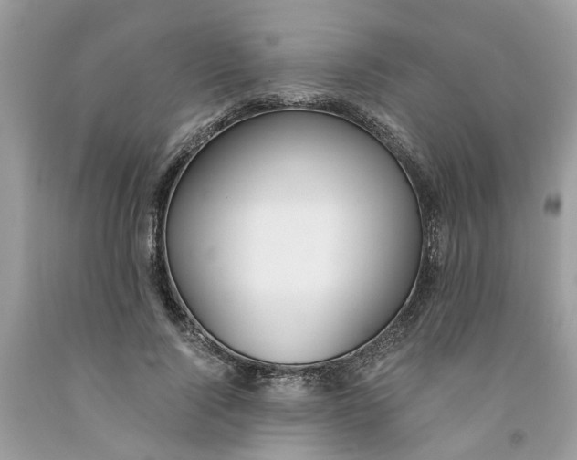 X0000091520740200709141414