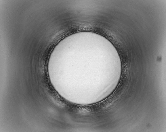 X0000091520741200709141414