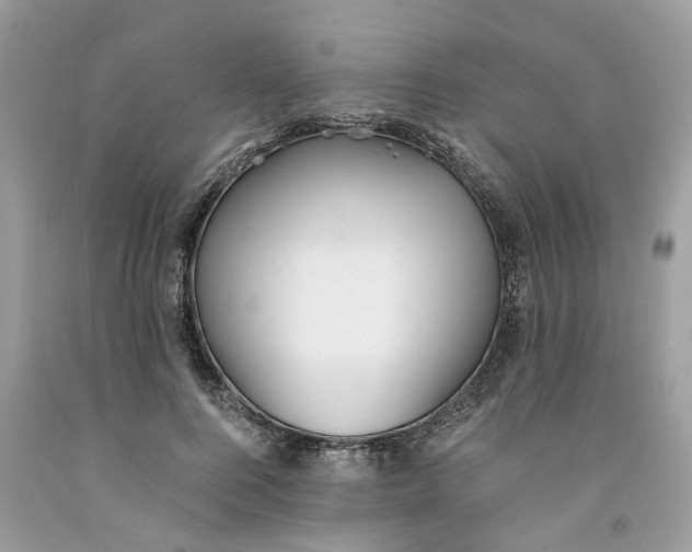 X0000091520744200709141414