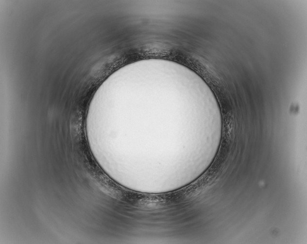 X0000091520745200709141414