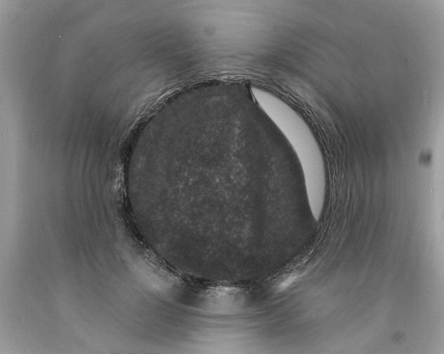 X0000091520748200709141414