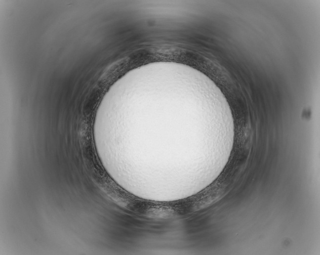 X0000091520749200709141414