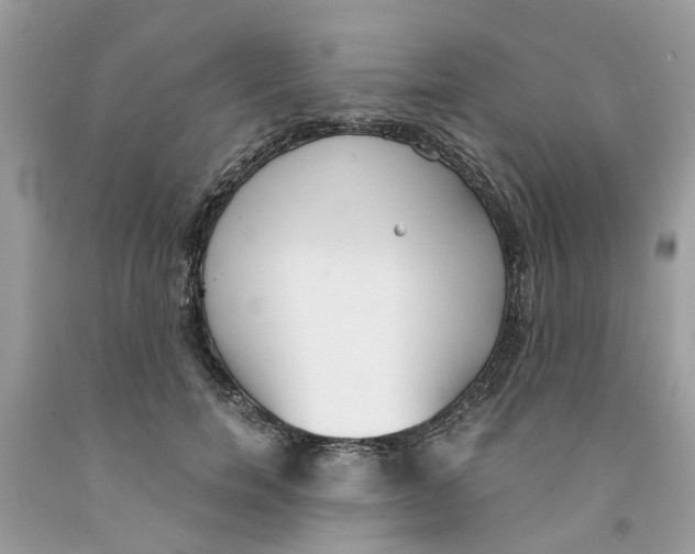 X0000091520750200709141414