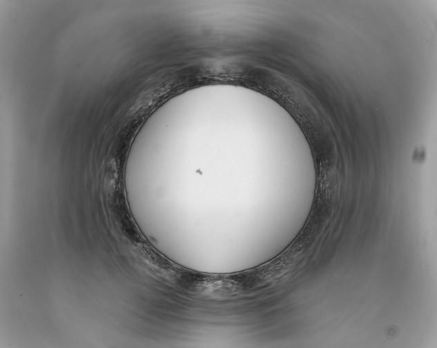 X0000091520752200709141414