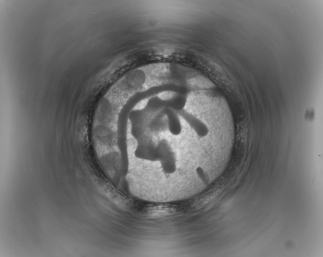 X0000091520754200709141414