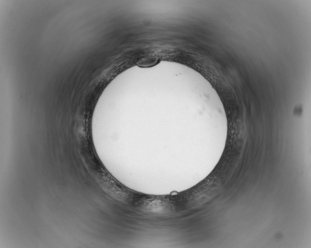 X0000091520755200709141414