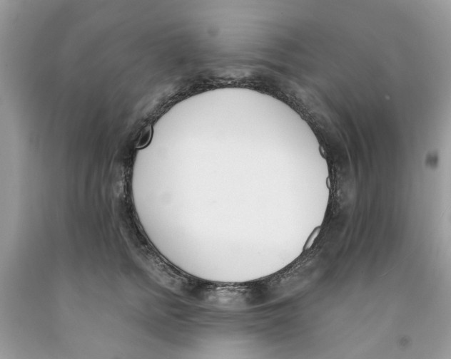 X0000091520758200709141414