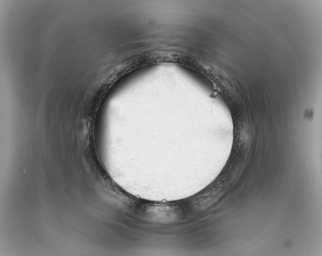 X0000091520759200709141415