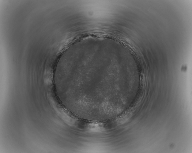 X0000091520760200709141415