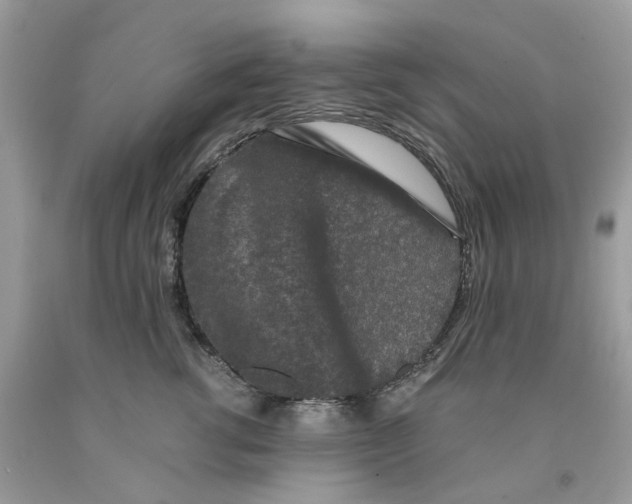 X0000091520762200709141415