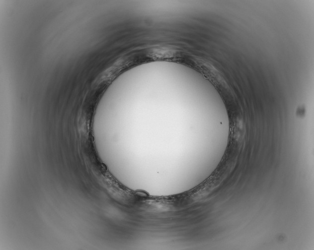 X0000091520763200709141415