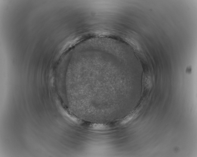 X0000091520766200709141415