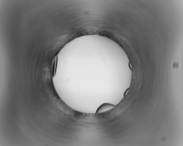 X0000091520768200709141415