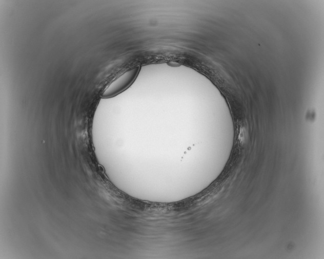 X0000091520771200709141414