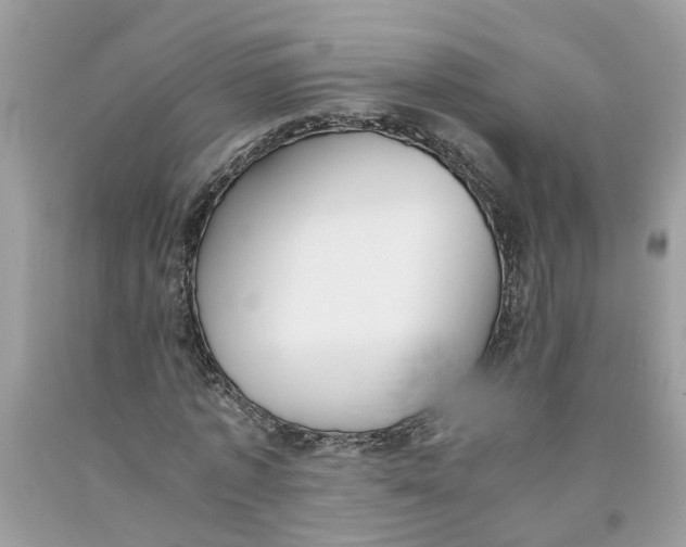 X0000091520773200709141414