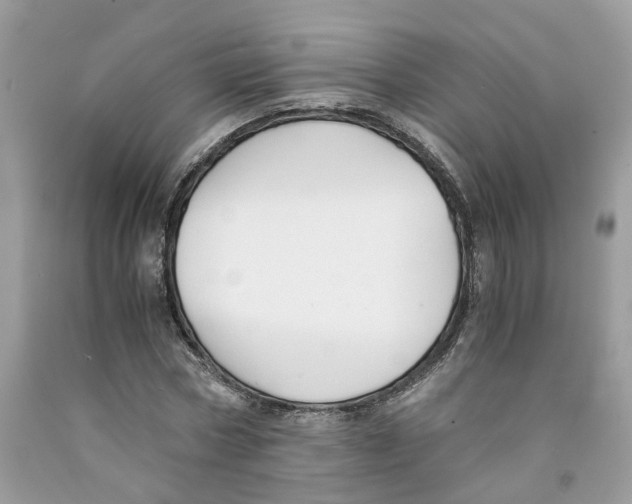 X0000091520778200709141414