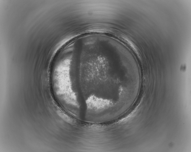 X0000091520779200709141414