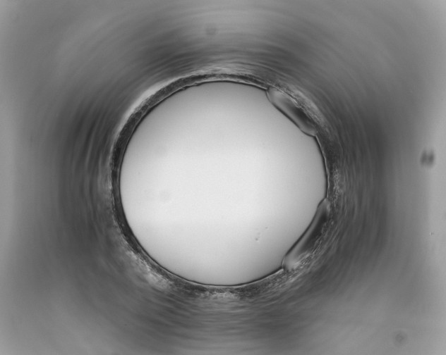 X0000091520784200709141414