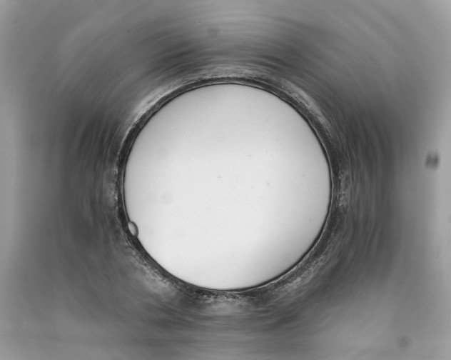 X0000091520786200709141414