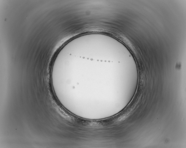 X0000091520787200709141414