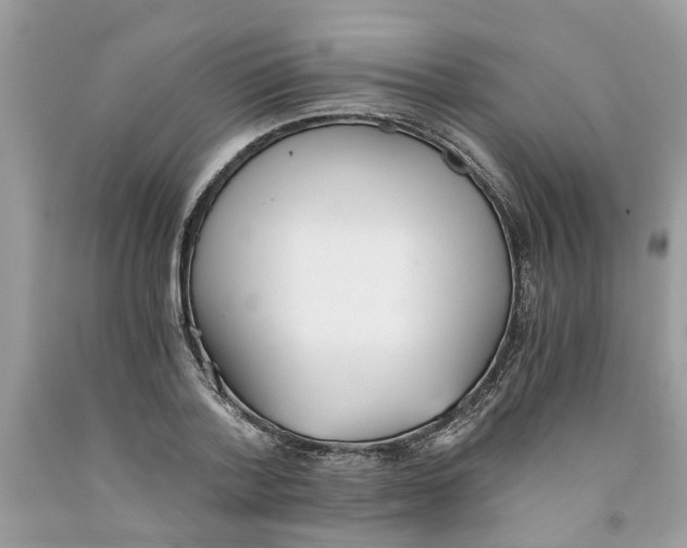 X0000091520788200709141414