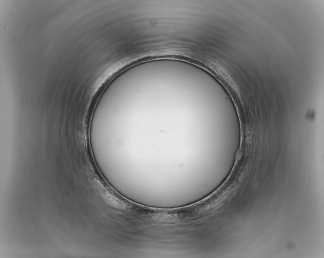 X0000091520789200709141414