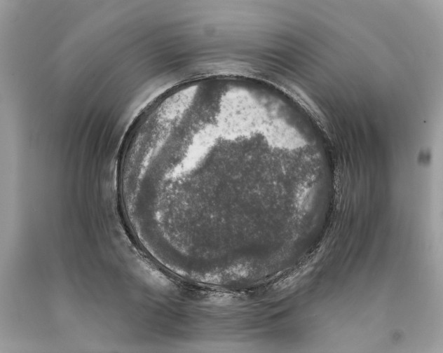 X0000091520790200709141414