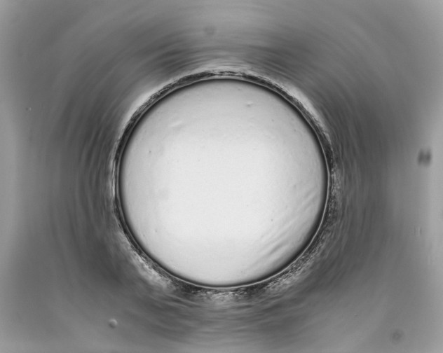 X0000091520791200709141414