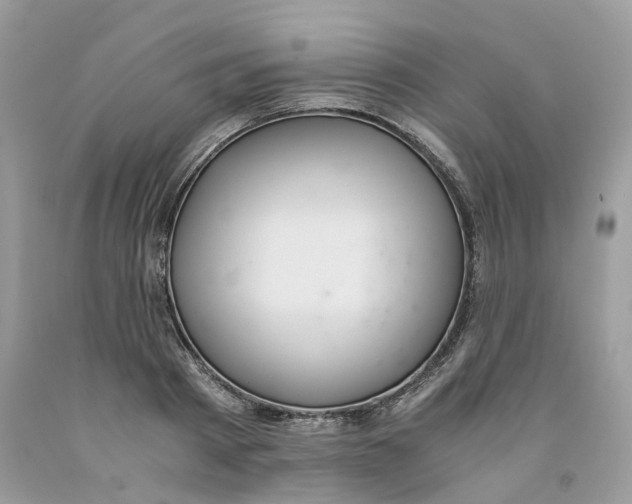 X0000091520793200709141414