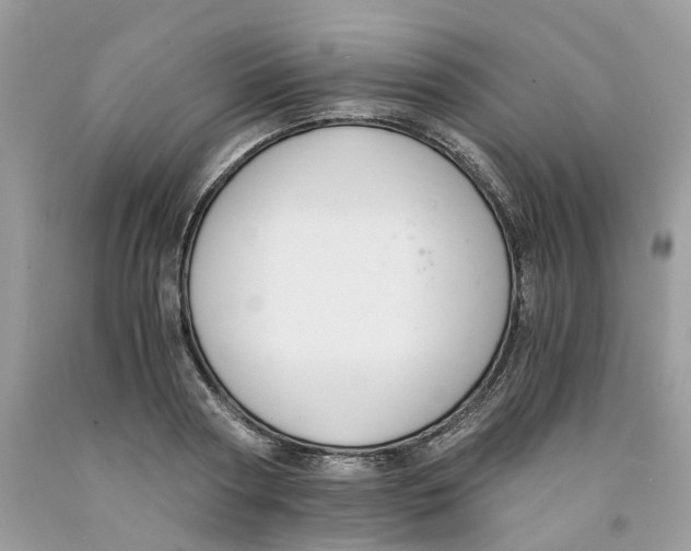 X0000091520794200709141414