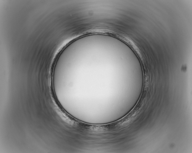 X0000091520795200709141414