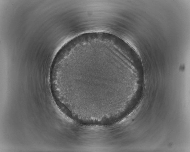 X0000091520797200709141414