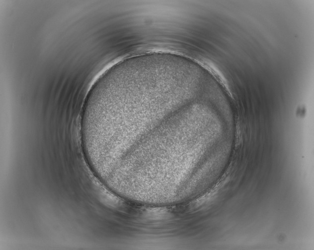 X0000091520798200709141414