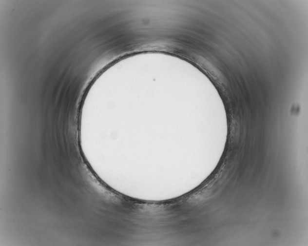 X0000091520800200709141414