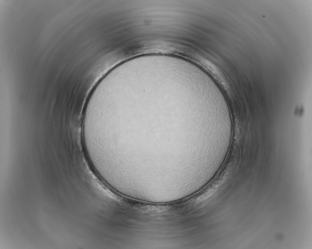 X0000091520802200709141414