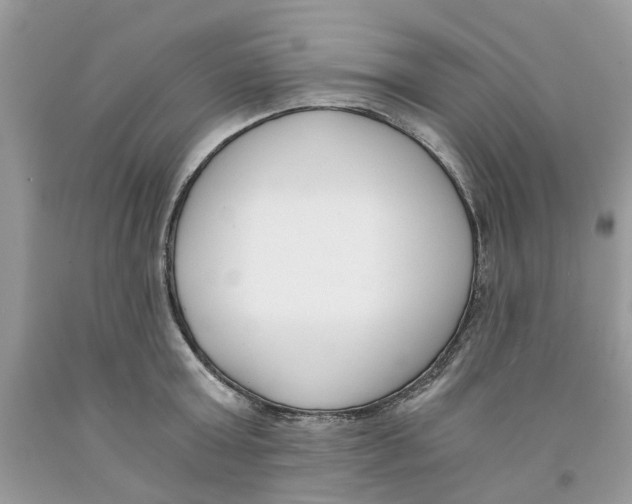 X0000091520803200709141414