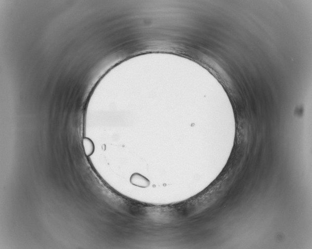 X0000091520804200709141414