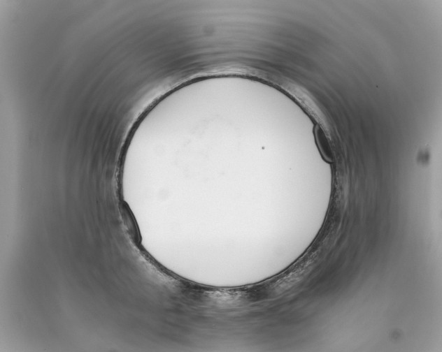 X0000091520805200709141414