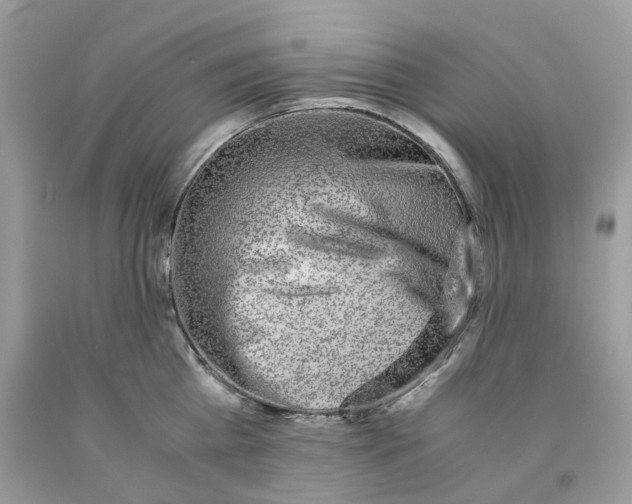 X0000091520809200709141414