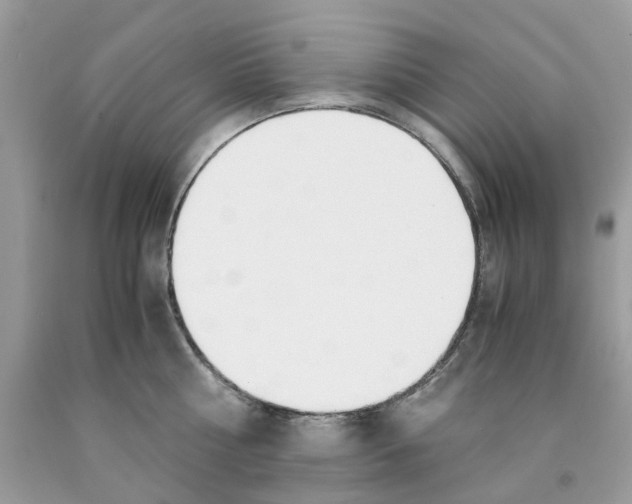 X0000091520810200709141414